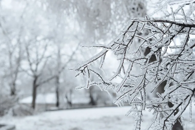 Oklahoma Ice Storm HVAC Recovery: Freeze Damage Triage, RTU/Chiller Plant Checks, and Safe Restart