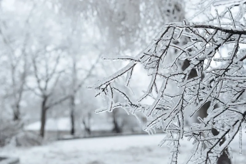 Oklahoma Ice Storm HVAC Recovery: Freeze Damage Triage, RTU/Chiller Plant Checks, and Safe Restart