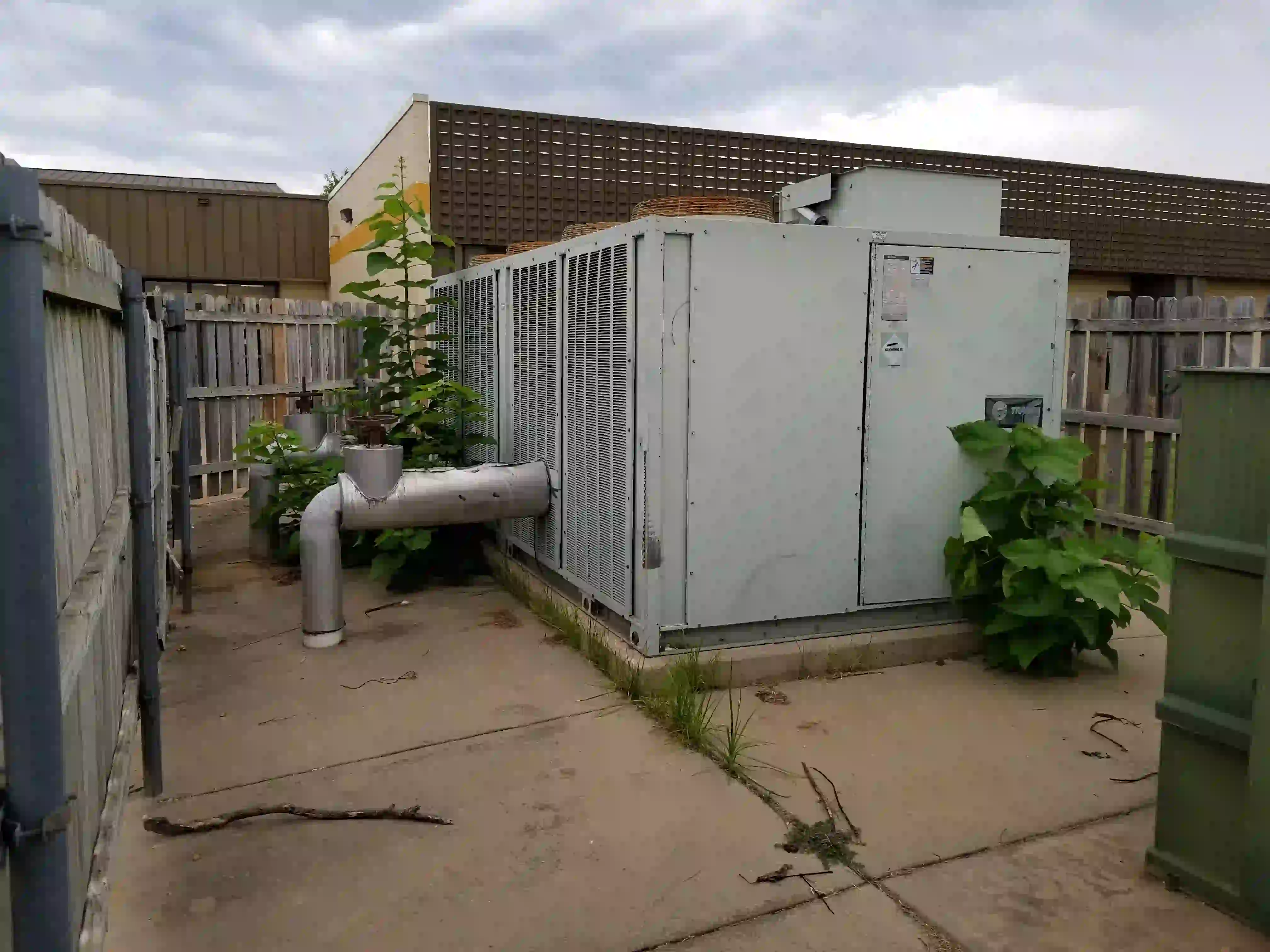 The original Trane chiller: overgrown with weeds and showing signs of years of neglect
